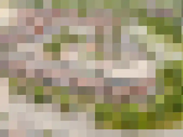 Tonselsedreef 265 Harderwijk thumbnail 43