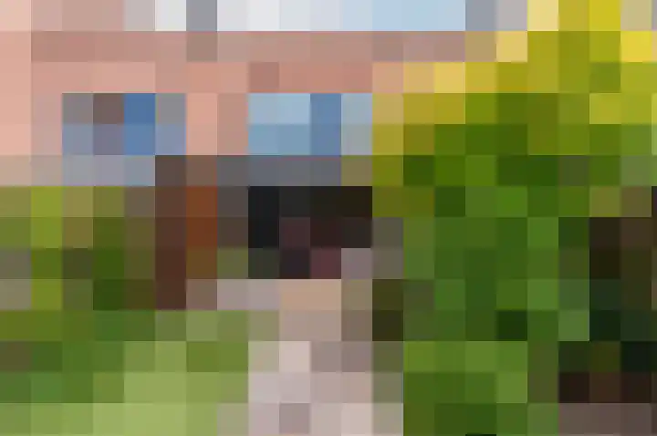 Tonselsedreef 265 Harderwijk thumbnail 6