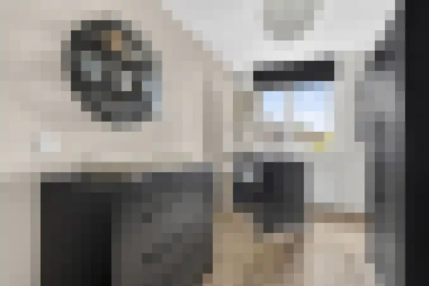 Tonselsedreef 28 Harderwijk thumbnail 23