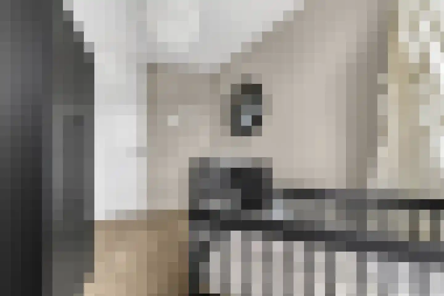 Tonselsedreef 28 Harderwijk thumbnail 24