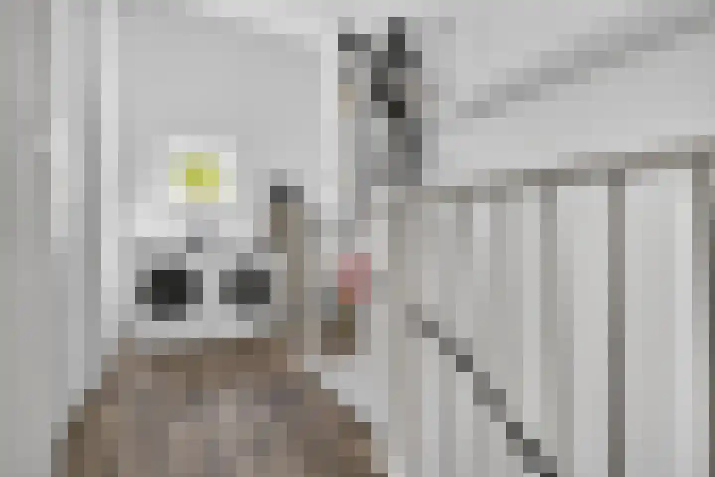 Tonselsedreef 28 Harderwijk thumbnail 27