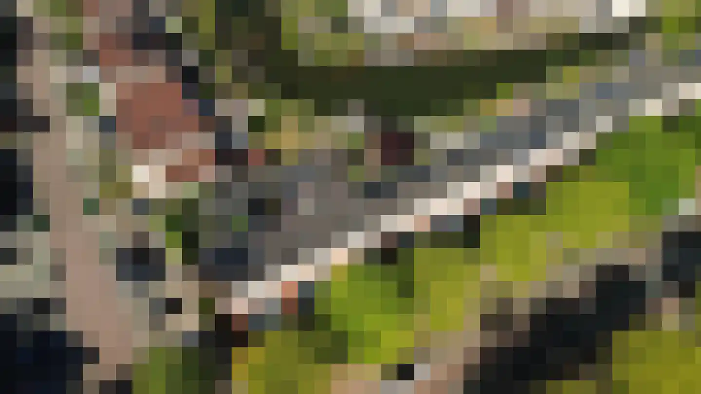 Tonselsedreef 28 Harderwijk thumbnail 36