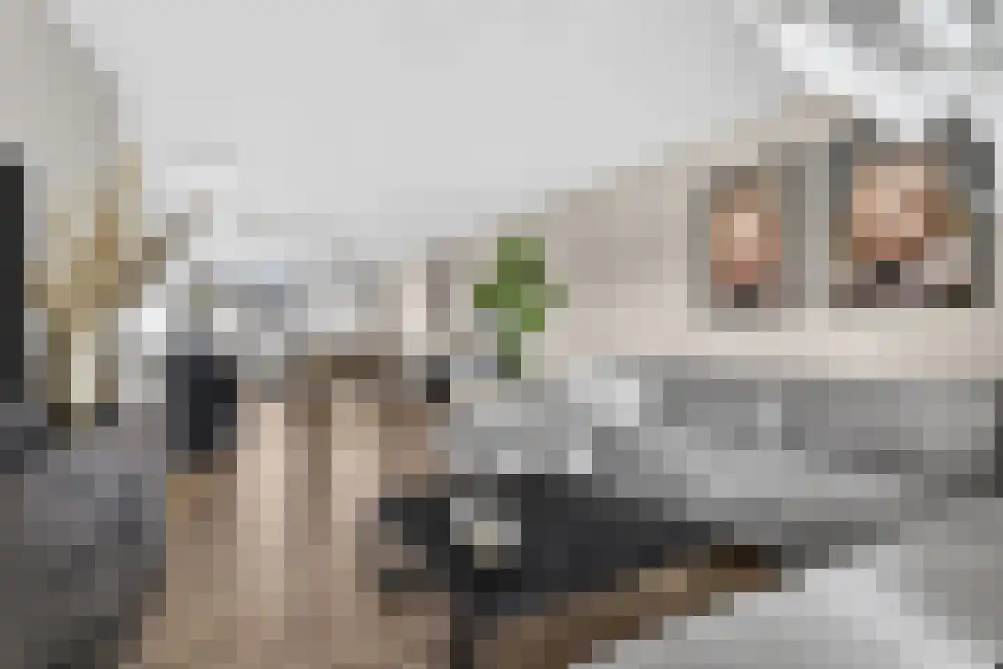 Tonselsedreef 28 Harderwijk thumbnail 8
