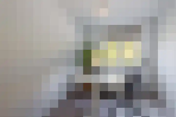 Tonselsedreef 3 Harderwijk thumbnail 14