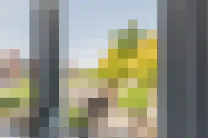 Tonselsedreef 3 Harderwijk thumbnail 15