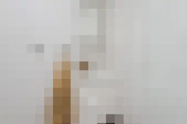 Tonselsedreef 3 Harderwijk thumbnail 20