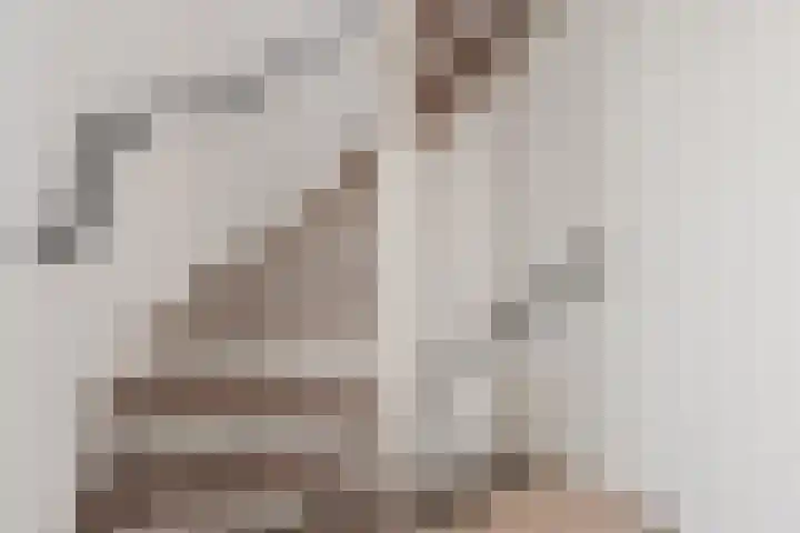 Tonselsedreef 3 Harderwijk thumbnail 22