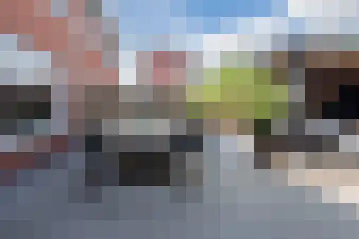 Tonselsedreef 3 Harderwijk thumbnail 30