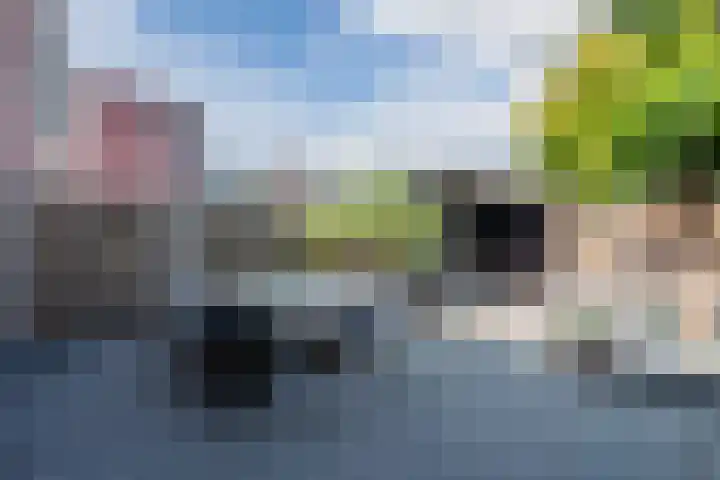 Tonselsedreef 3 Harderwijk thumbnail 31