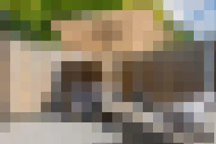 Tonselsedreef 3 Harderwijk thumbnail 33