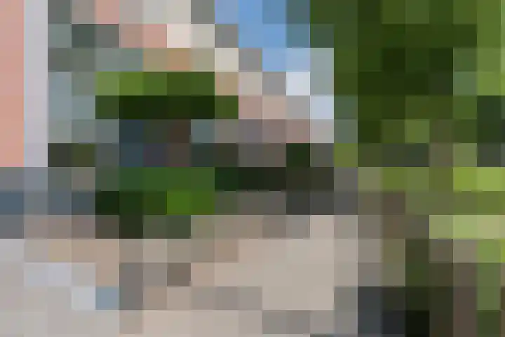 Tonselsedreef 3 Harderwijk thumbnail 35