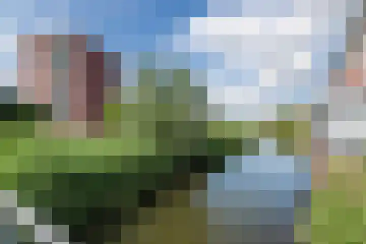 Tonselsedreef 3 Harderwijk thumbnail 37