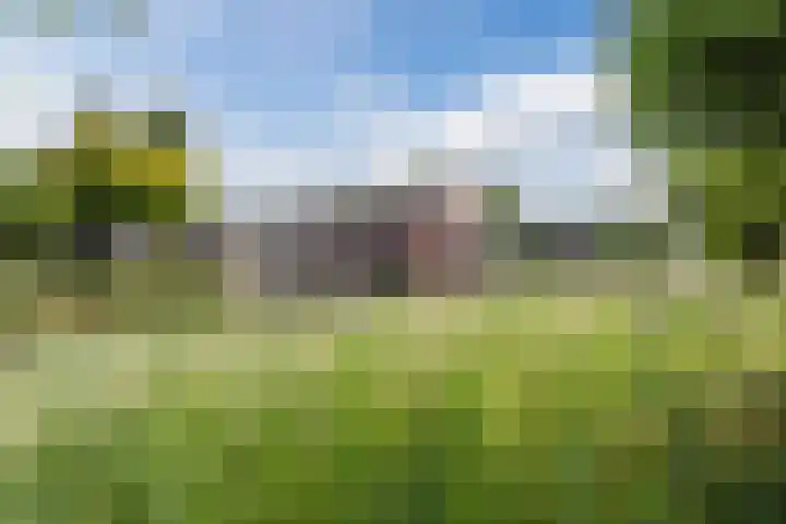 Tonselsedreef 3 Harderwijk thumbnail 38