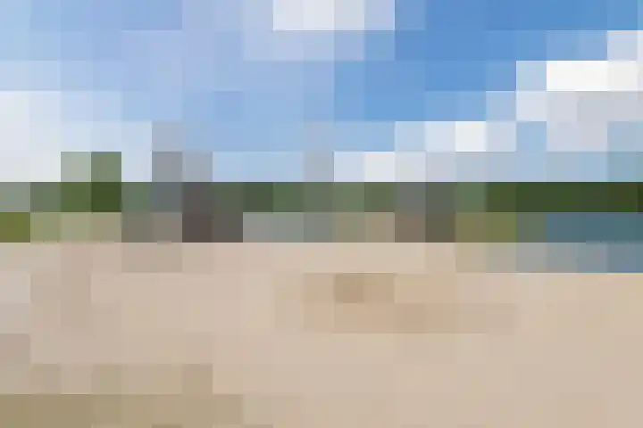 Tonselsedreef 3 Harderwijk thumbnail 39