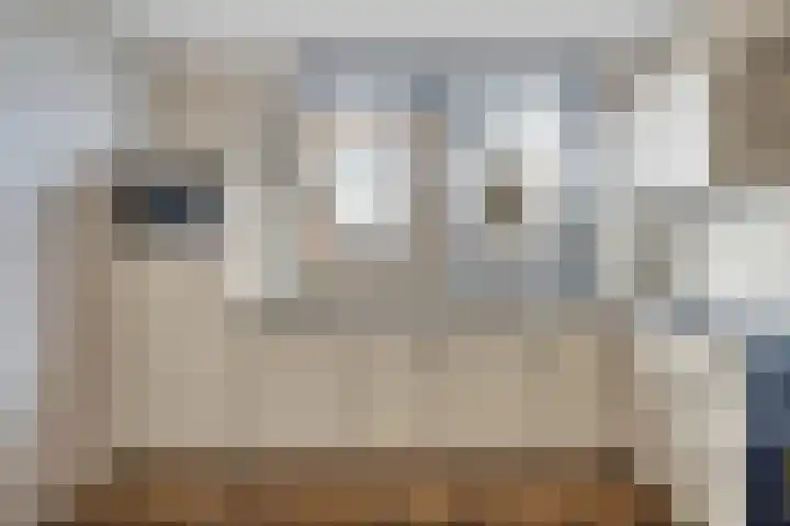 Tonselsedreef 319 Harderwijk thumbnail 11