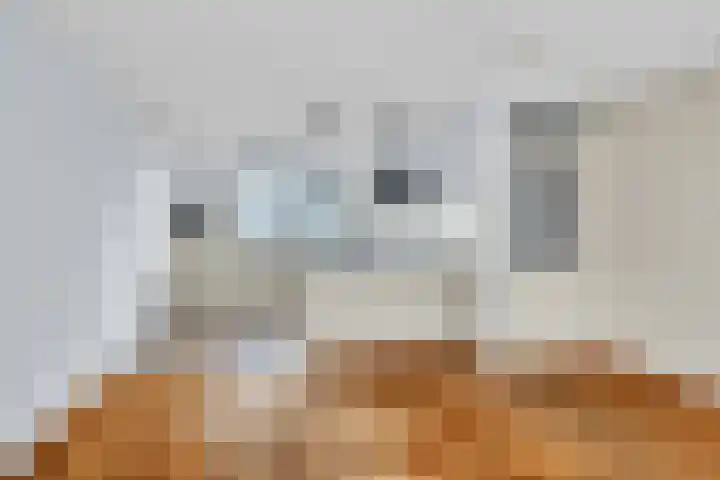 Tonselsedreef 319 Harderwijk thumbnail 12
