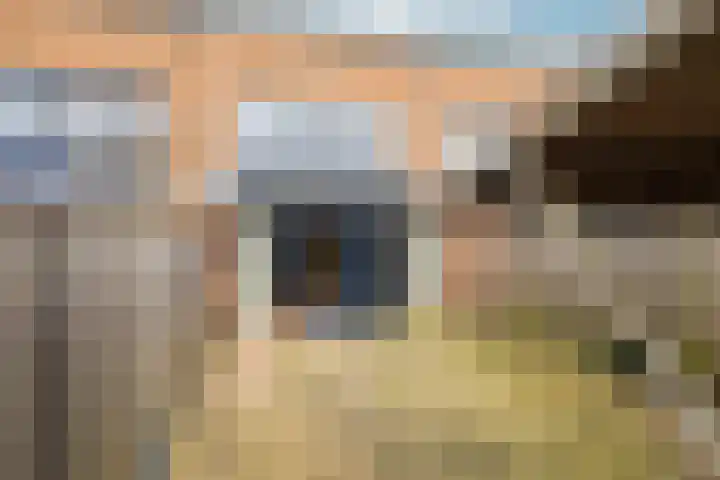Tonselsedreef 319 Harderwijk thumbnail 41