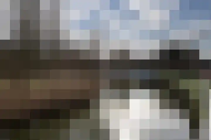 Tonselsedreef 319 Harderwijk thumbnail 43