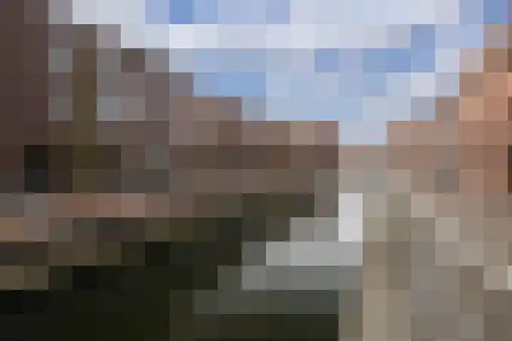 Tonselsedreef 319 Harderwijk thumbnail 44