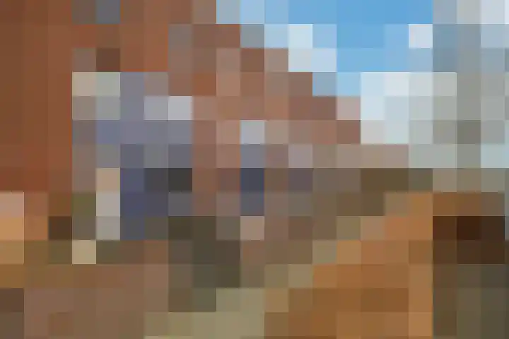 Tonselsedreef 319 Harderwijk thumbnail 6