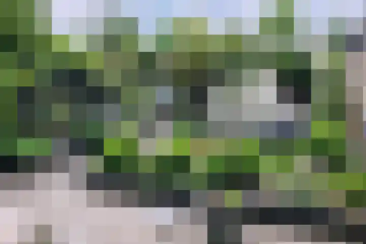 Tonselsedreef 40 Harderwijk thumbnail 13