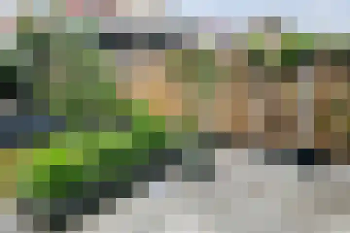 Tonselsedreef 40 Harderwijk thumbnail 14