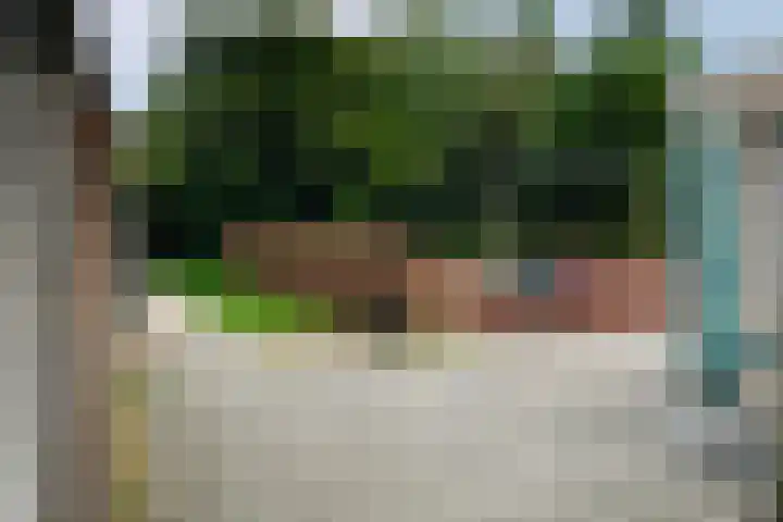 Tonselsedreef 40 Harderwijk thumbnail 17
