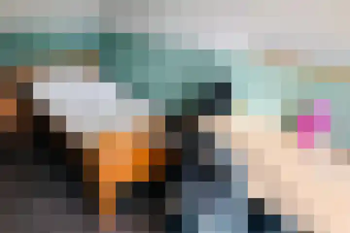 Tonselsedreef 40 Harderwijk thumbnail 19