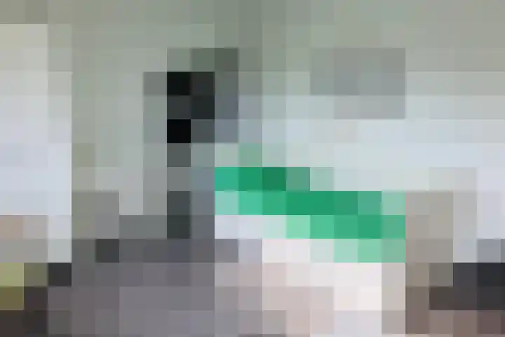 Tonselsedreef 40 Harderwijk thumbnail 28