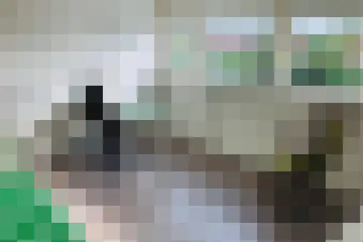 Tonselsedreef 40 Harderwijk thumbnail 29