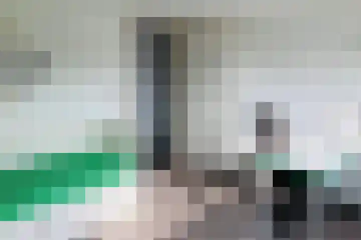 Tonselsedreef 40 Harderwijk thumbnail 30