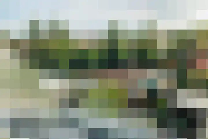 Tonselsedreef 40 Harderwijk thumbnail 31
