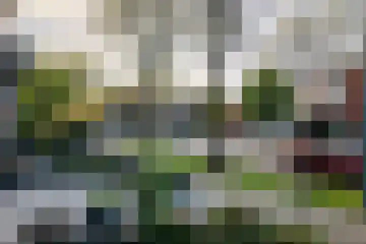 Tonselsedreef 40 Harderwijk thumbnail 4