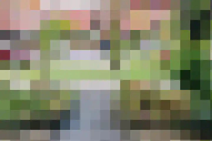Tonselsedreef 40 Harderwijk thumbnail 5