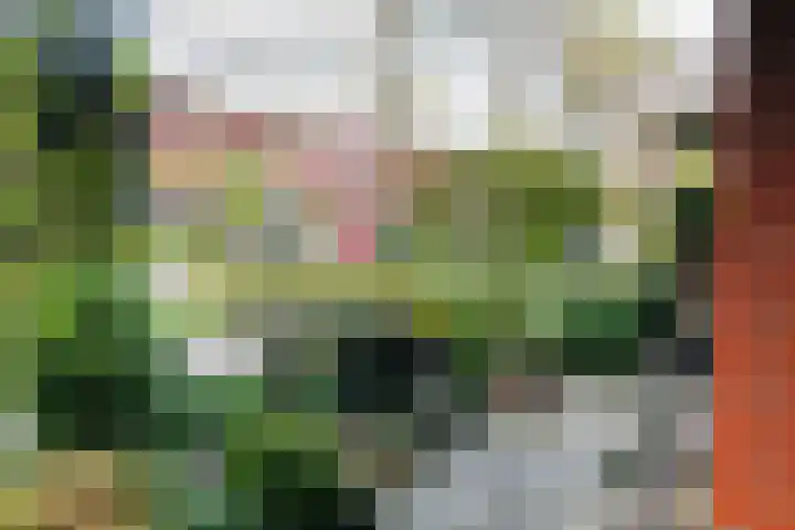 Tonselsedreef 40 Harderwijk thumbnail 6