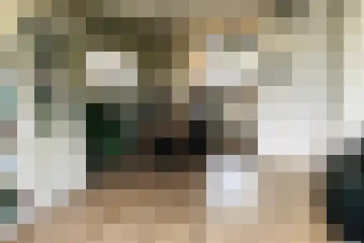 Tonselsedreef 40 Harderwijk thumbnail 7