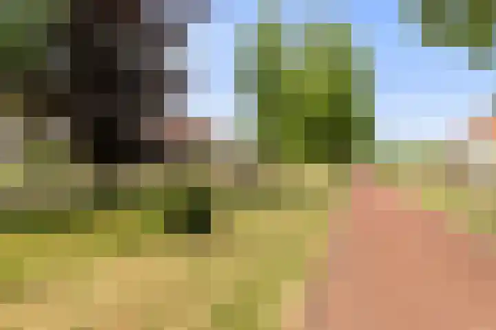 Tonselsedreef 45 Harderwijk thumbnail 25