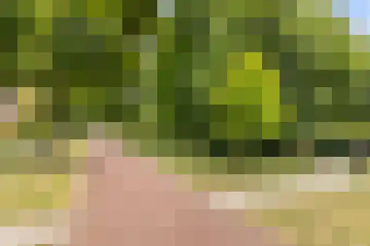 Tonselsedreef 45 Harderwijk thumbnail 26