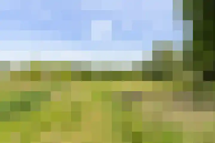 Tonselsedreef 45 Harderwijk thumbnail 27