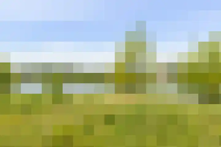 Tonselsedreef 45 Harderwijk thumbnail 28
