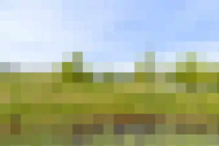 Tonselsedreef 45 Harderwijk thumbnail 29