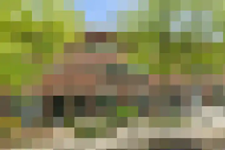 Tonselsedreef 45 Harderwijk thumbnail 34