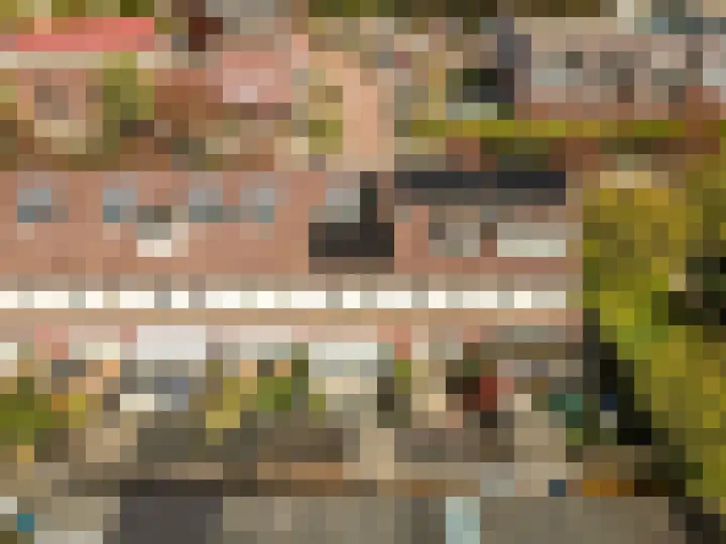 Tonselsedreef 72 Harderwijk thumbnail 56