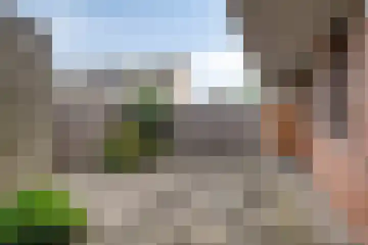 Tonselsedreef 89 Harderwijk thumbnail 25