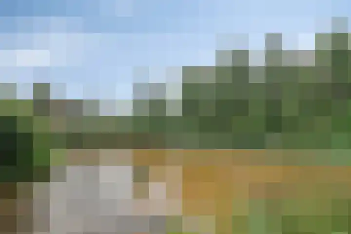 Tonselsedreef 89 Harderwijk thumbnail 28