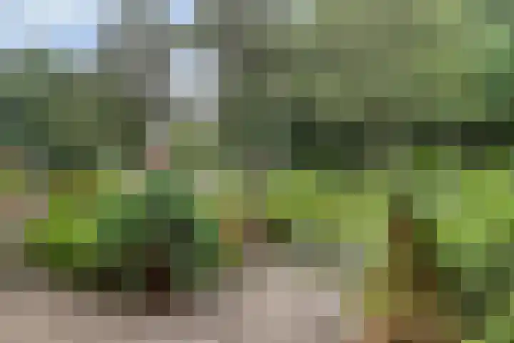 Tonselsedreef 89 Harderwijk thumbnail 29