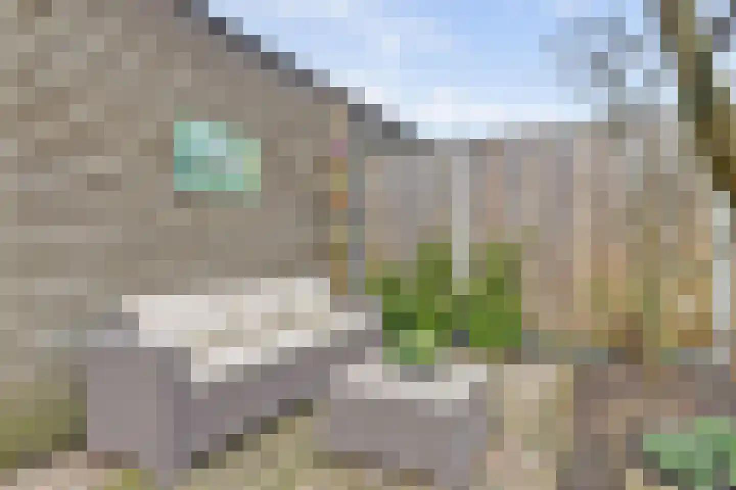 Tonselsehof 3 Harderwijk thumbnail 37