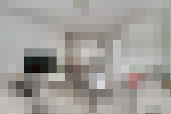 Tonselsehof 30 Harderwijk thumbnail 11