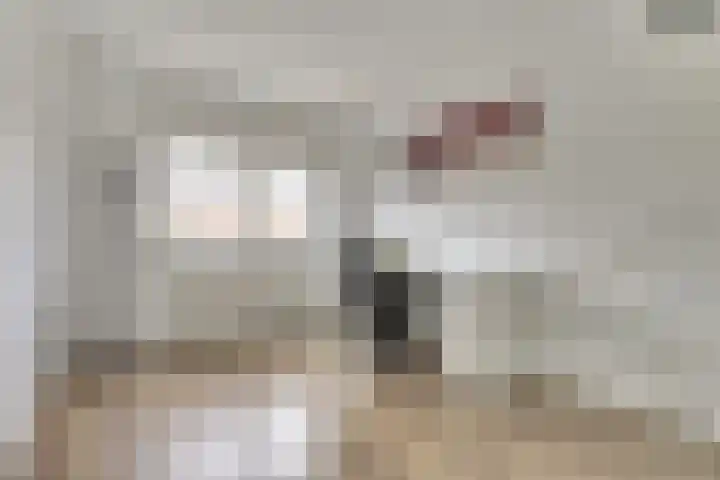 Tonselsehof 30 Harderwijk thumbnail 21