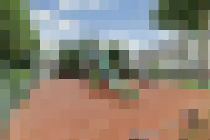 Tonselsehof 30 Harderwijk thumbnail 29